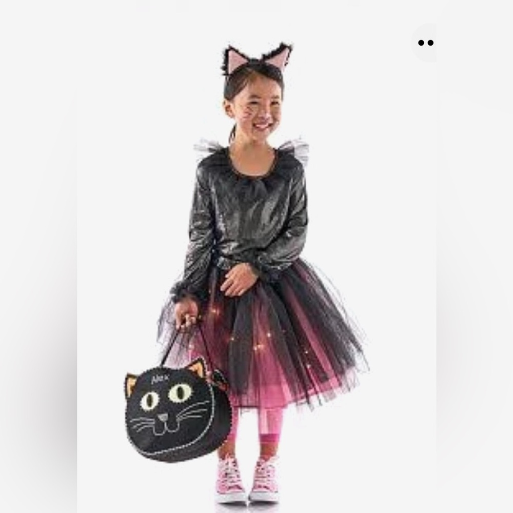 Pottery Barn Kids Black and Pink Cat Tutu Costume